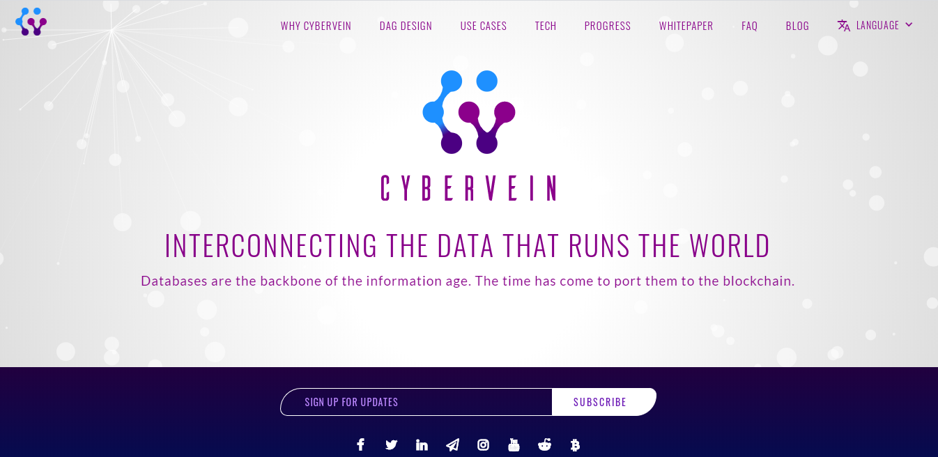 Qu'est-ce que CyberVein